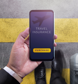 Travel Insurance (8).png